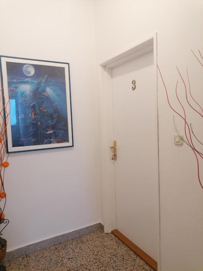 Apartmani Ivana Senj Senj  Exteriör bild